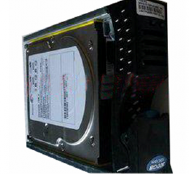 DMX-2G10-300 EMC DMX系列 300GB 10K 2GB FC 硬盤,，101-000-090